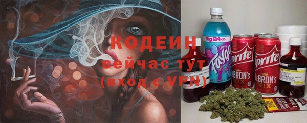 сатива Бородино