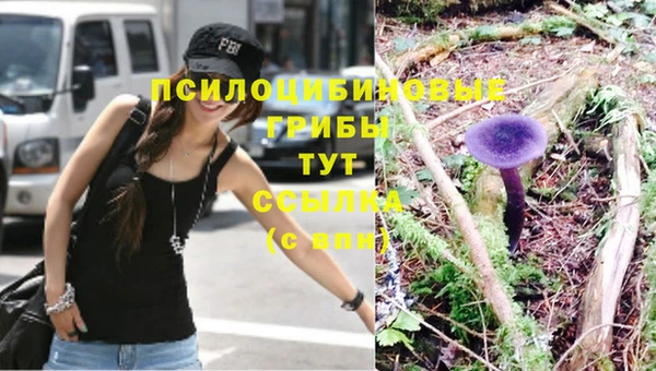 эйфоретик Бронницы