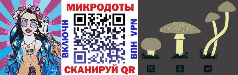 Псилоцибиновые грибы мухоморы Дербент