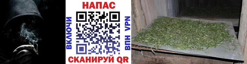 Конопля план Дербент